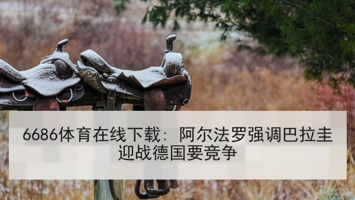 6686体育在线下载: 阿尔法罗强调巴拉圭迎战德国要竞争